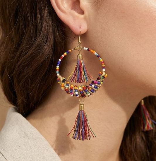 Seed Beads Tassel Earring Multicolor