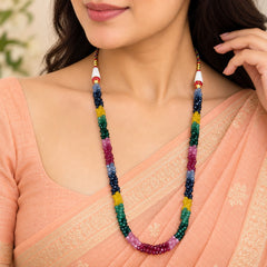 Multicolor Beaded Long Necklace ✨
