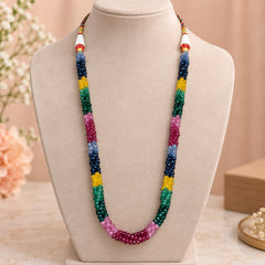 Multicolor Beaded Long Necklace ✨